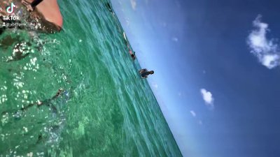 Watch Miranda's leaked NSFW video on TwXstars