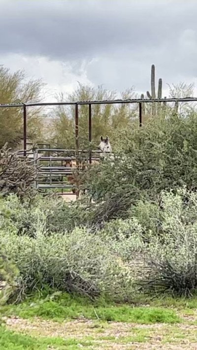 Watch Chaos Emerald's leaked NSFW video on TwXstars