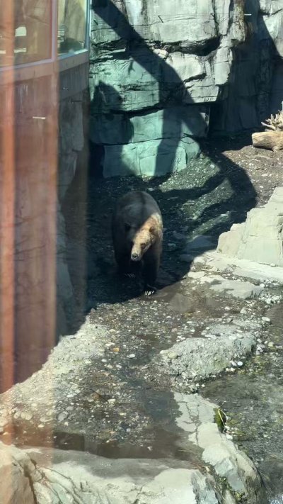 Watch Amanda Cerny's leaked NSFW video on TwXstars