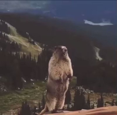 Watch Moo's leaked NSFW video on TwXstars