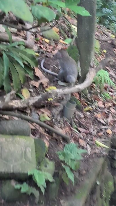 Watch Dana Minodora's leaked NSFW video on TwXstars