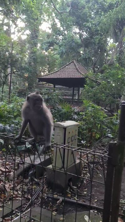 Watch Dana Minodora's leaked NSFW video on TwXstars