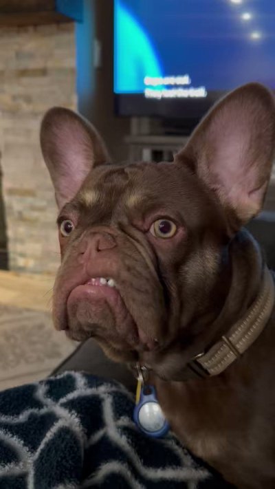 Watch 𝐈𝐆: 𝐃𝐀𝐎𝐍𝐋𝐘𝐃𝐑𝐄𝐘𝐀𝐇H💖's leaked NSFW video on TwXstars