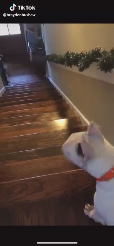 Watch Pookie's leaked NSFW video on TwXstars