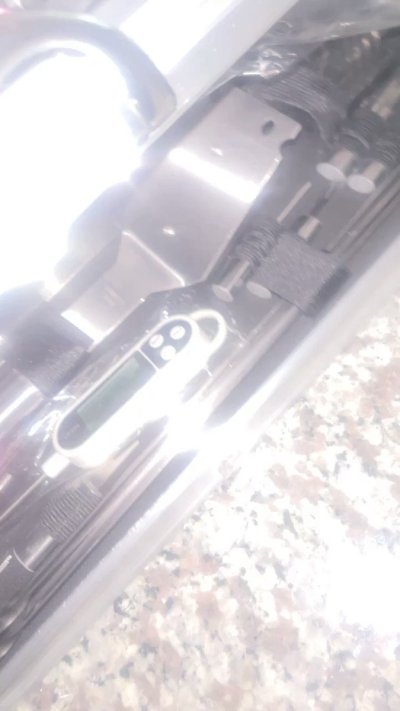 Watch 👑's leaked NSFW video on TwXstars