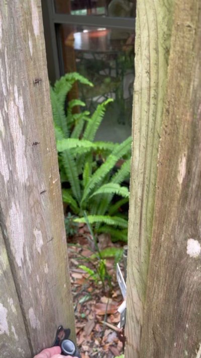 Watch The cottage core doll 💖's leaked NSFW video on TwXstars