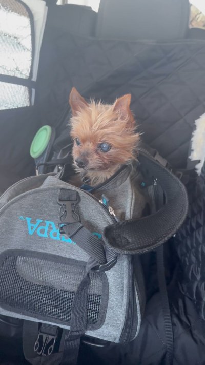 Watch Jayden Cole's leaked NSFW video on TwXstars