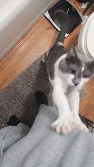 Watch StapledMyDickToABrick.'s leaked NSFW video on TwXstars