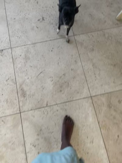 Watch Ana Fuckin Foxxx's leaked NSFW video on TwXstars