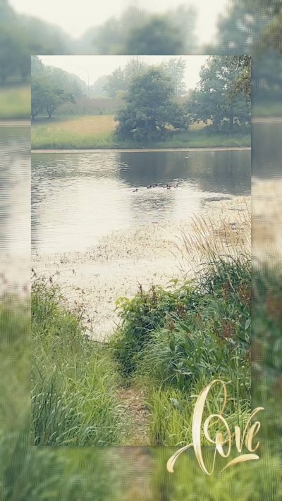 Watch  🅚🅐🅜🅒🅞🅜 's leaked NSFW video on TwXstars