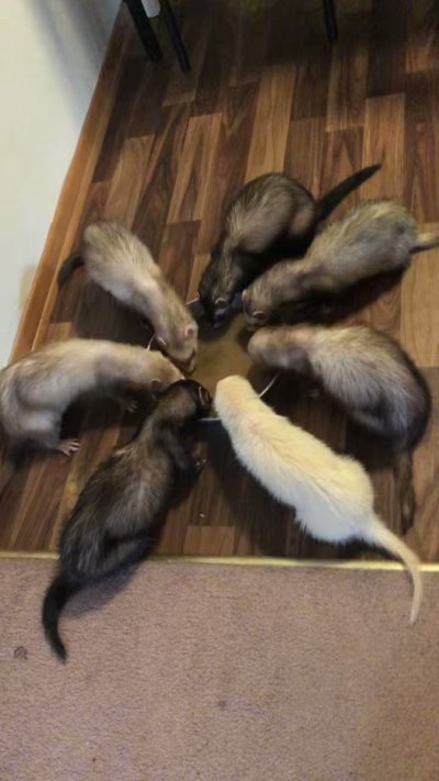 Watch Sasha Spits's leaked NSFW video on TwXstars