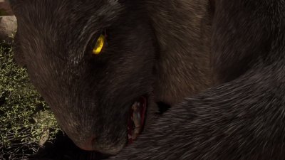 Watch WildLifeFurries's leaked NSFW video on TwXstars