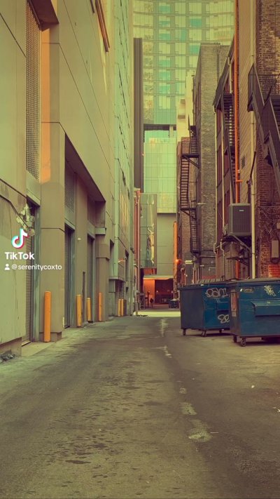 Watch Serenity Cox's leaked NSFW video on TwXstars