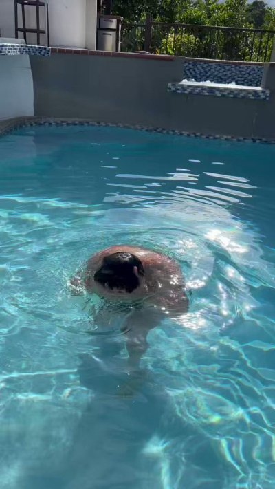 Watch Osvaldo Mireles 👨🏻's leaked NSFW video on TwXstars