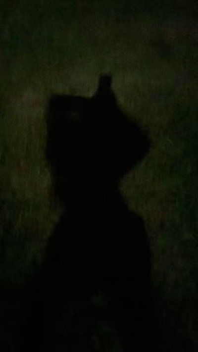 Watch Bambii's leaked NSFW video on TwXstars