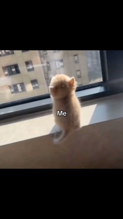 Watch L.O.U.D's leaked NSFW video on TwXstars