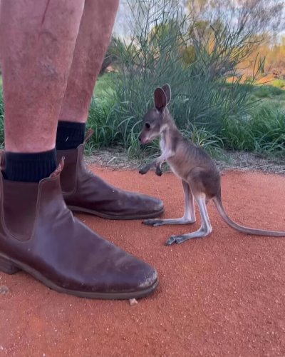 Watch Buitengebieden's leaked NSFW video on TwXstars