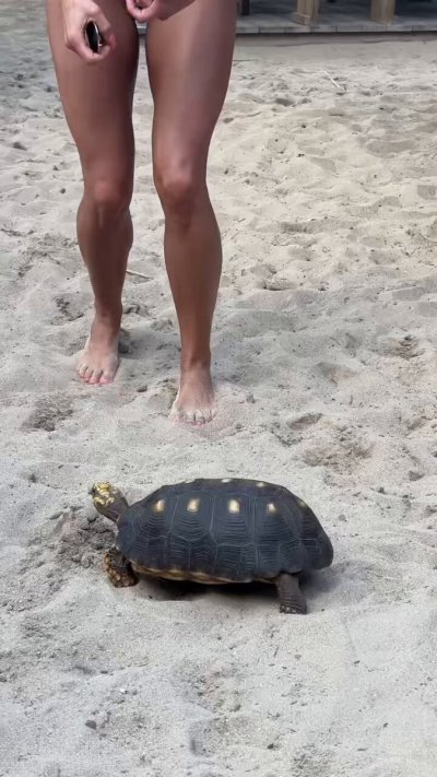 Watch Lisa Bell's leaked NSFW video on TwXstars