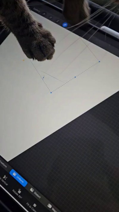 Watch Bottling Sunshine's leaked NSFW video on TwXstars