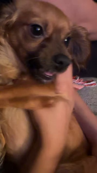 Watch 1 of NONE's leaked NSFW video on TwXstars