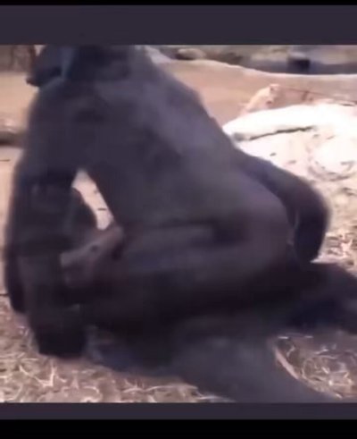 Watch Ada Oba 🎀's leaked NSFW video on TwXstars