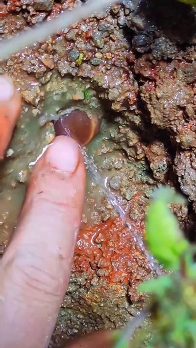 Watch Geology Page's leaked NSFW video on TwXstars