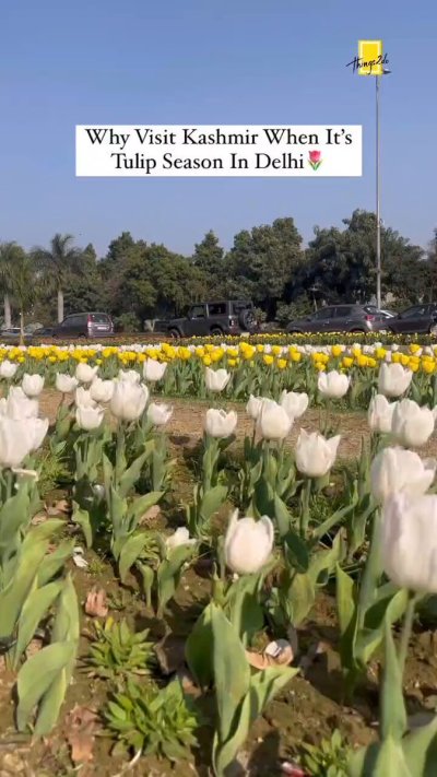 Watch Arun Thareja,'s leaked NSFW video on TwXstars