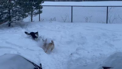 Watch Dr. Angela Rasmussen's leaked NSFW video on TwXstars