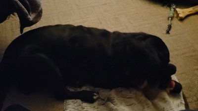 Watch Papa Woof und Krampus und Bleaken's leaked NSFW video on TwXstars