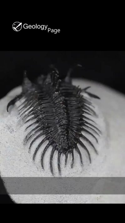 Watch Geology Page's leaked NSFW video on TwXstars