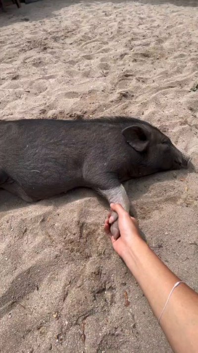 Watch SpicyGum✨'s leaked NSFW video on TwXstars