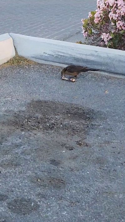 Watch aiden riley's leaked NSFW video on TwXstars