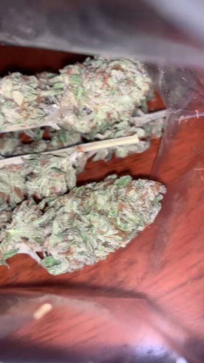 Watch 🔞The Mushroom 🦹🏽‍♂️🍄🍑👅💦💦🍆's leaked NSFW video on TwXstars