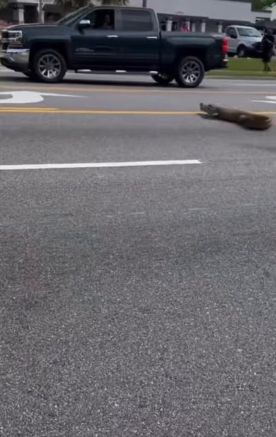 Watch MaryCate Delvey's leaked NSFW video on TwXstars