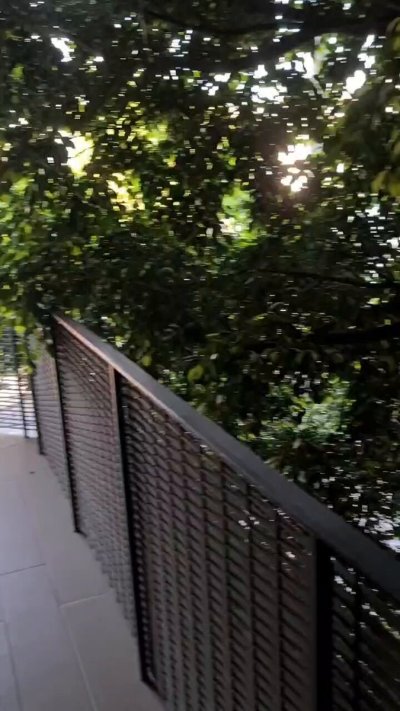 Watch Ana & Diego ✨'s leaked NSFW video on TwXstars