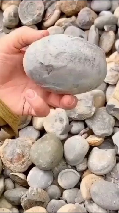 Watch Geology Page's leaked NSFW video on TwXstars