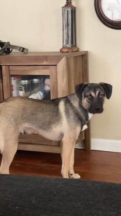 Watch NAH BRO's leaked NSFW video on TwXstars