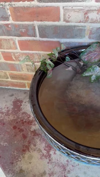 Watch sugar love's leaked NSFW video on TwXstars