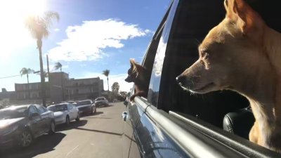 Watch Max Carter's leaked NSFW video on TwXstars