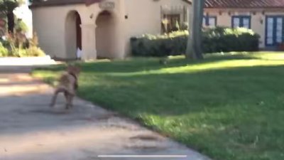 Watch Max Carter's leaked NSFW video on TwXstars