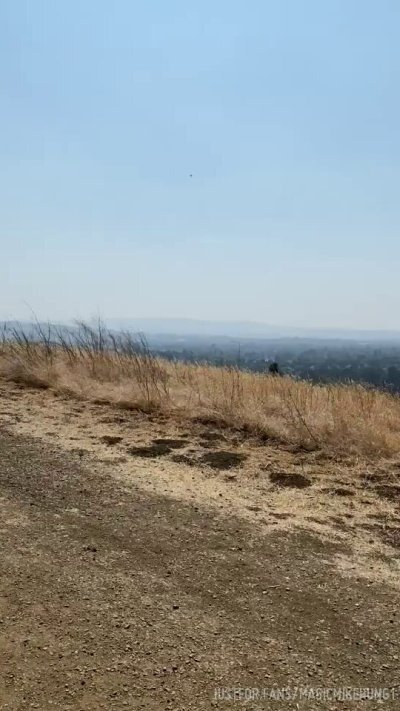 Watch Magic Mike Hung's leaked NSFW video on TwXstars