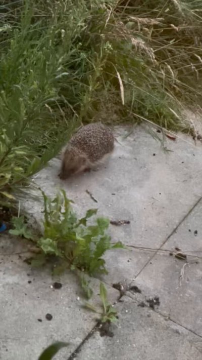 Watch Raven's leaked NSFW video on TwXstars