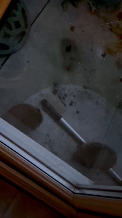 Watch Raven's leaked NSFW video on TwXstars