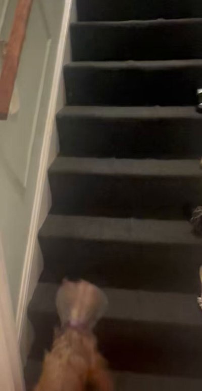 Watch 💜216TEMPTATION 💜's leaked NSFW video on TwXstars