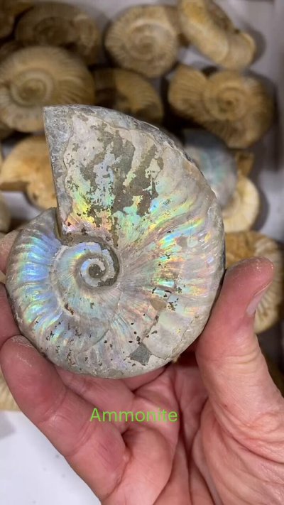 Watch Geology Page's leaked NSFW video on TwXstars