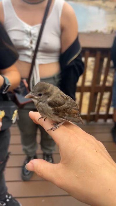 Watch ysa ❆'s leaked NSFW video on TwXstars