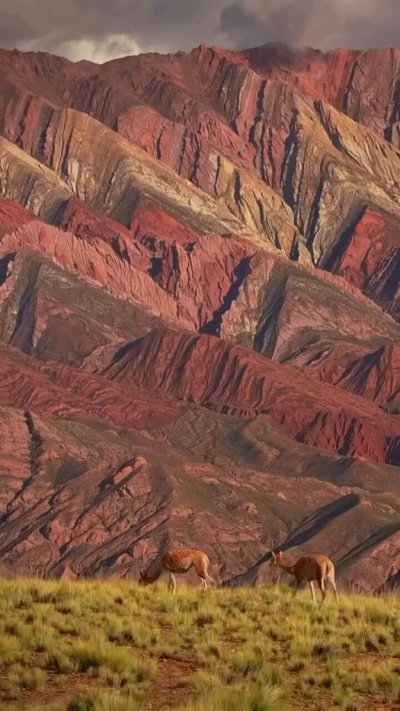 Watch Geology Page's leaked NSFW video on TwXstars