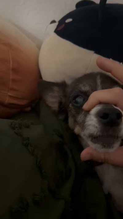 Watch ysa ❆'s leaked NSFW video on TwXstars