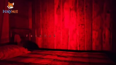 Watch Foxyhot's leaked NSFW video on TwXstars