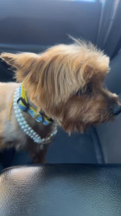 Watch 💜216TEMPTATION 💜's leaked NSFW video on TwXstars